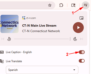 Alternar subtítulos en el navegador Chrome